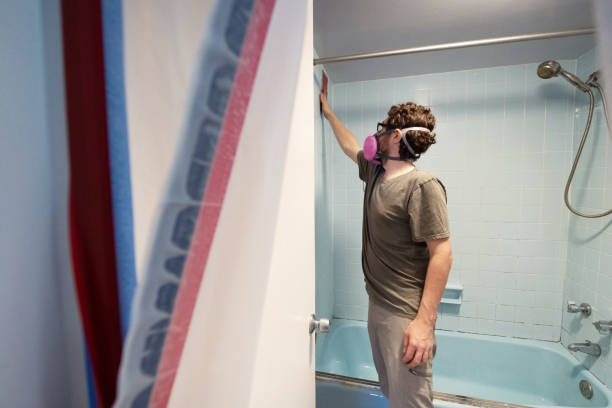Best Basement Mold Removal  in Orange Blossom, CA