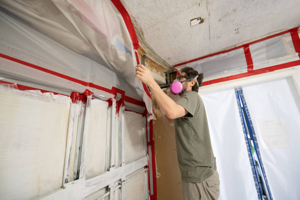 Best Post-Remediation Verification Testing  in Orange Blossom, CA
