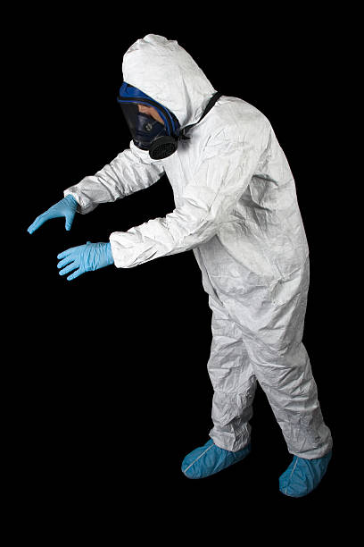 Trusted Orange Blossom, CA Mold Removal Experts