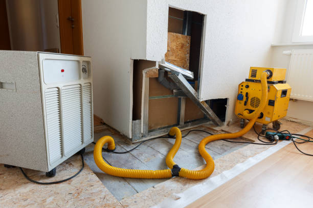 Mold Documentation for Insurance Claims in Orange Blossom, CA