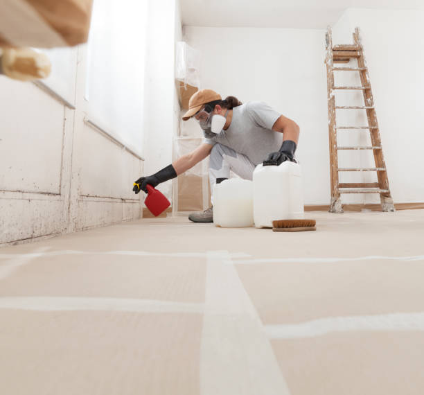 Best Mold Documentation for Insurance Claims  in Orange Blossom, CA