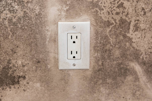 Best Mold Removal for HVAC Installations  in Orange Blossom, CA